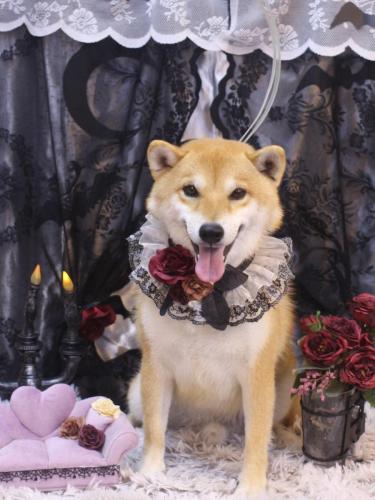 20231029りんたろうくん